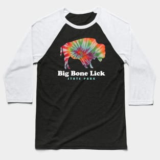 Big Bone Lick State Park Kentucky Bison Tie Dye Fossils Baseball T-Shirt